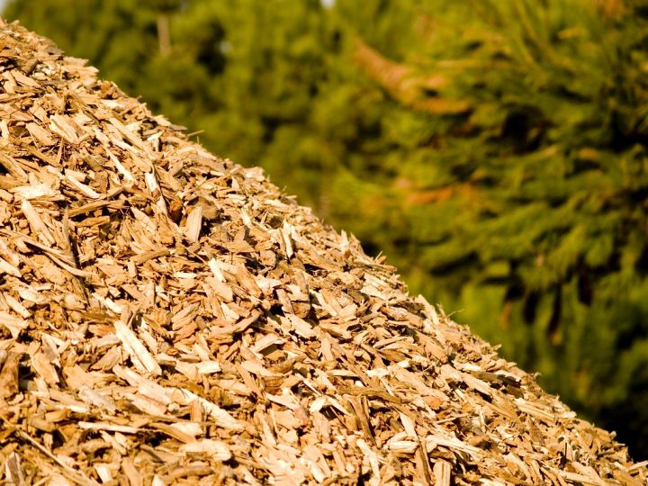 Produção de biomassa com resíduos de madeira vira alternativa em MT