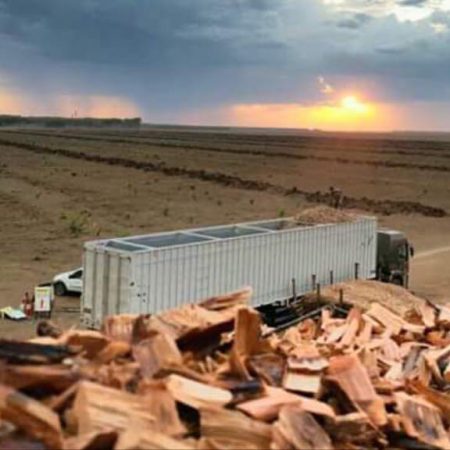 Produção e Comércio de Biomassa